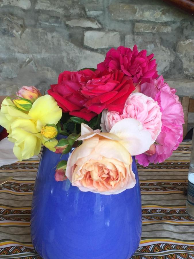 Nido D'Amore Nei Colori Dernice Eksteriør bilde