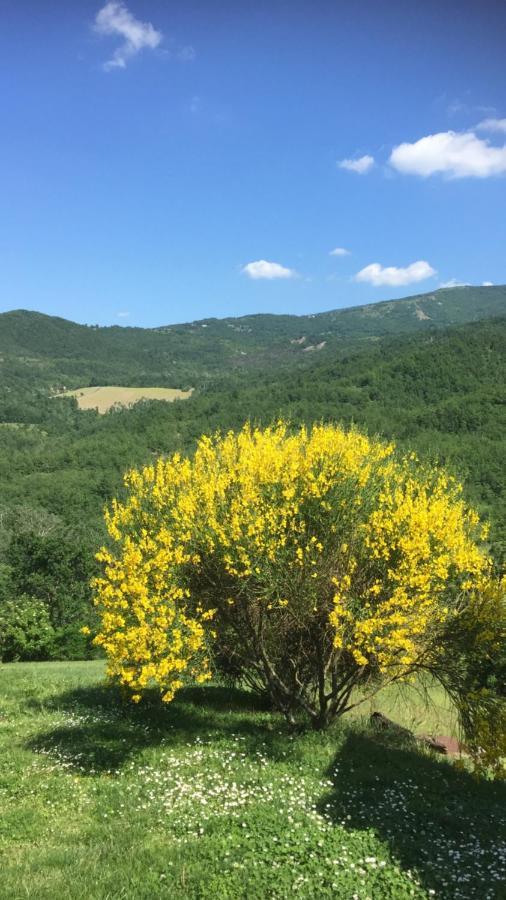 Nido D'Amore Nei Colori Dernice Eksteriør bilde